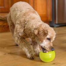 Outward Hound By Planet Dog Snoop Durable Interactive Treat Dispensing Dog Toy, Large, Blue - Vàng Lil Snoop - Xem 8