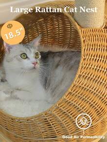 PAWZ Road Modern Cat Tree, 46-Inch Wooden Cat Tower With Dinosaur Design, Large Rattan Tree And 5 Fully Wrapped Sisal Scratching Posts For Indoor Cats - 米色 - 查看 6