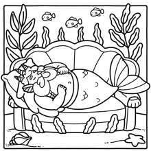 1 件海洋之家：成人和青少年适用的 Coco 涂色书，超级可爱的舒适设计涂色书，Hygge 放松空间涂色书（舒适空间涂色）。涂色书释放情绪，缓解焦虑 | 节日和特殊场合的理想礼物 [手绘必备] 海洋之家涂色书，零基础临摹，涂鸦减压，可作为学校用品，返校