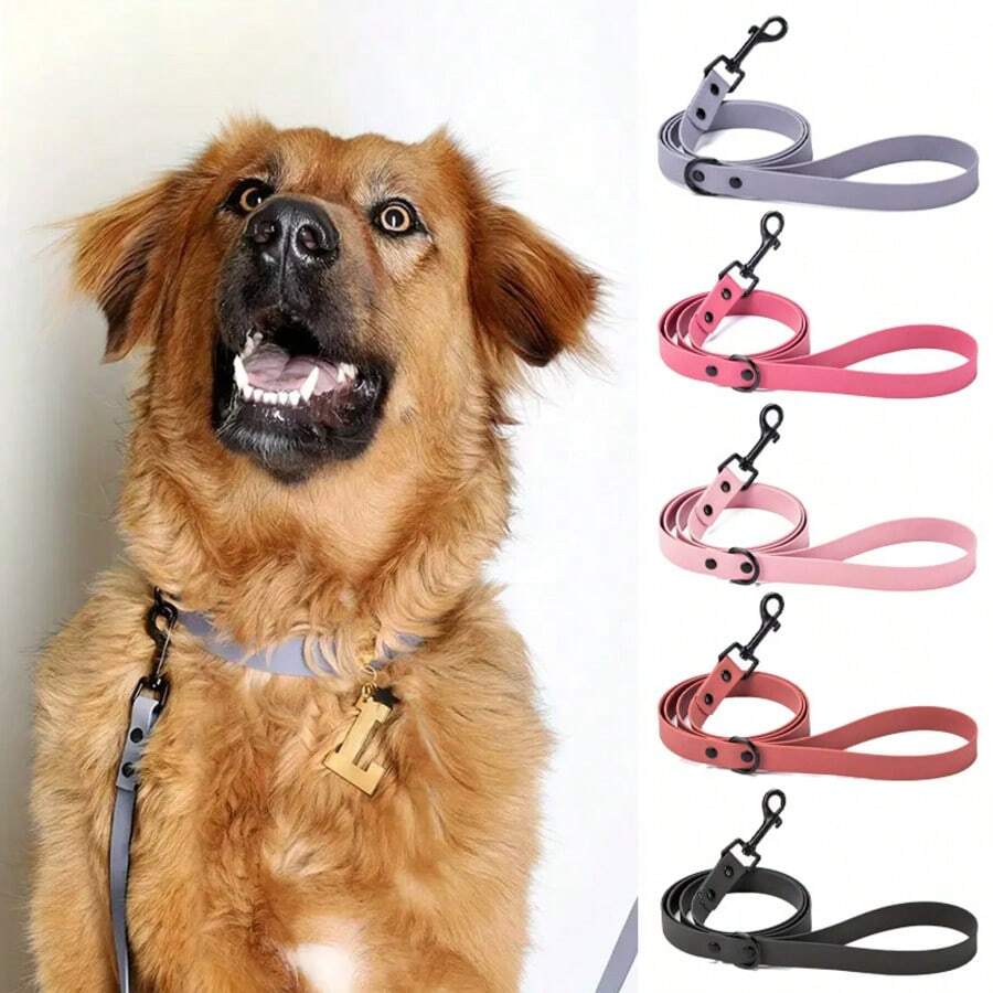 Cable Embossing Can Be Washed And Dries Quickly. It Is Waterproof. This Dog Outdoor Activity Rope Is Flexible And Tough. It Is Suitable For Walks, Parks And Beaches. - Multicolor - View 1