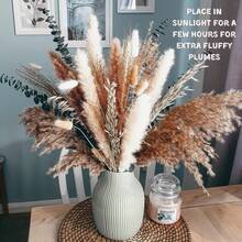 100 PCS Of Boho Pampas Grass Decor, Naturally Dried Pampas, Bunny Tails Dried Flowers, And Dried Eucalyptus Artificial Flowers. Perfect For Weddings, Boho Party Decorations, And Table Decor. - Multicolor - View 5
