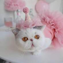 1 rochie de prințesă pentru animale de companie, design cu fustă din plasă roz, rochie moale și confortabilă pentru animale de companie pentru pisici și câini, ținută de fotografie