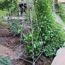 15m Green Coated Iron Wire, 1.8mm Thick, Gardening Plant Fixing Tie, Household Binding Tool