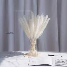 60 Pcs White Pampas Grass ,17 Inch/45 Cm Dried Pampas Grass Branches Decor For Wedding Home Kitchen Garden Party Photographing Flower Arrangement Vase Decor - Nhiều màu - Xem 3