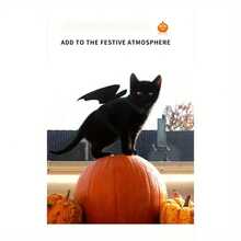 猫狗万圣节蝙蝠翼宠物背带套装（含配套牵引绳）- 可调节涤纶服装 - 黑色 - 查看 10