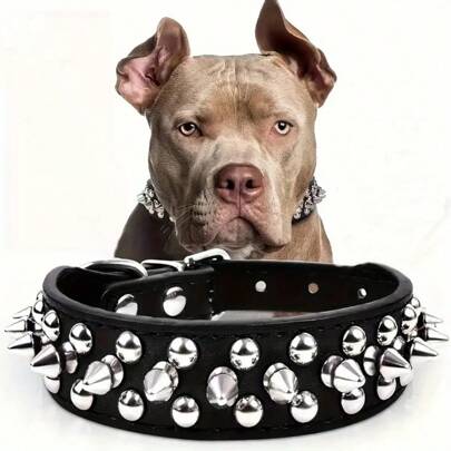 CP037 Studded Dog Collar - Adjustable, Durable, Stylish Pet Accessory With Metal Studs & Hexagonal Patterns For Comfort & Fashion, Pet Fashion Accessory | Studded Collar Design | Metal Stud Detailing