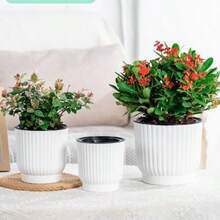 1 件白色花园花盆，室内植物自动浇水花盆，适合所有室内植物、花卉、非洲紫罗兰，非常适合房间装饰、家居装饰、卧室装饰和花园装饰 - 彩色 - 查看 5