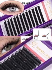 L M(LU) LJ LB LC LD Fuchs Katze Augenlinien-Effekt Kaschmir 12 Reihen Soft Dark Volume Classic Wimpernverlängerungen 8-15mm 0,07 Einzelwimpern Super Soft Matt Schwarze Seide Wimpernverlängerungszubehör für Schönheitssalons Neue Ankunft Wimpernbüschel, Wimpernbüschel, Einzelwimpern, Wimpern, Falsche Wimpern