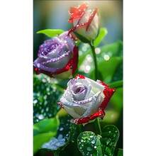 A Rare Rose That Can Bloom Even Below Zero. 200 Cold-Resistant Divine Seeds Easily Produce A Sea Of Flowers. - 變體1 - 查看 1