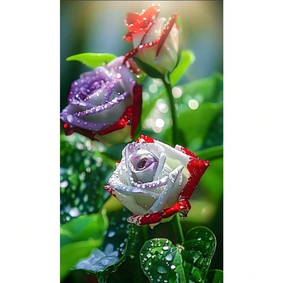 A Rare Rose That Can Bloom Even Below Zero. 200 Cold-Resistant Divine Seeds Easily Produce A Sea Of Flowers. - 變體1 - 查看 1