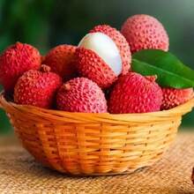 Lychee Fruit Seeds - 20Pcs - Home Gardening Planting - 20Pcs - View 2