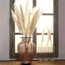 60 Pcs White Pampas Grass ,17 Inch/45 Cm Dried Pampas Grass Branches Decor For Wedding Home Kitchen Garden Party Photographing Flower Arrangement Vase Decor - Nhiều màu - Xem 7