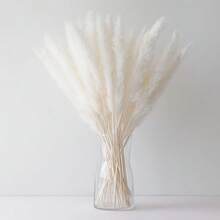 60 Pcs White Pampas Grass ,17 Inch/45 Cm Dried Pampas Grass Branches Decor For Wedding Home Kitchen Garden Party Photographing Flower Arrangement Vase Decor - Nhiều màu - Xem 4