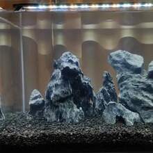 黑色火山岩土壤添加剂，适用于仙人掌和多肉植物，不含染料或化学物质，100%纯火山岩表层覆盖物，红色火山岩装饰石