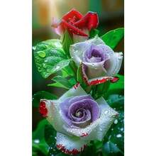 A Rare Rose That Can Bloom Even Below Zero. 200 Cold-Resistant Divine Seeds Easily Produce A Sea Of Flowers. - 變體1 - 查看 5