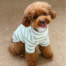 1 件条纹弹性柔软宠物毛衣，适合春、夏、秋、冬，适合中小型犬，有灰色、绿色、蓝色可选