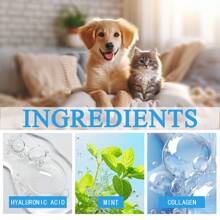 2 pièces Shampooing pour chien à l'avoine (convient aux chats et aux chiens), soulage les démangeaisons et hydrate la peau et les poils secs