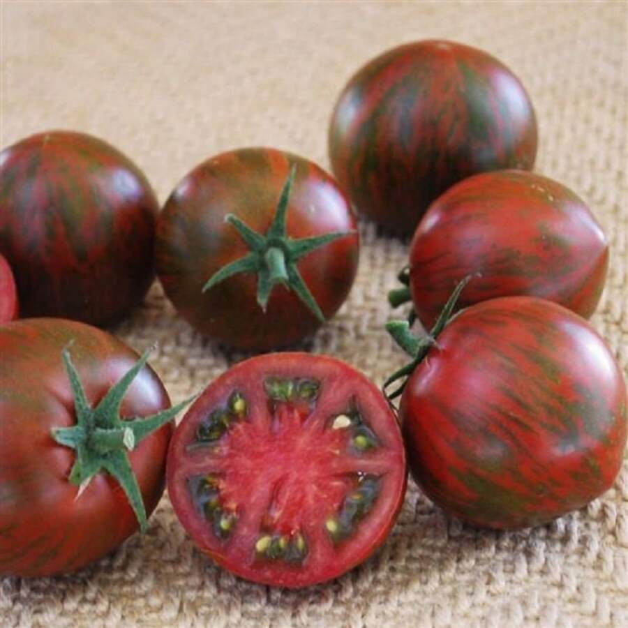 168 Pieces Tomato Seeds Purple Zebra Cherry Tomato Vegetable Plants Live  Vegetable Seeds Host Plants Live Plants Garden Plants Flower Seeds Plants For Outdoor Mosquito Repellent Outdoor Garden Square Plants Seeds For Planting Live Plants  No Seeds Square Flower Seeds Plant Seeds