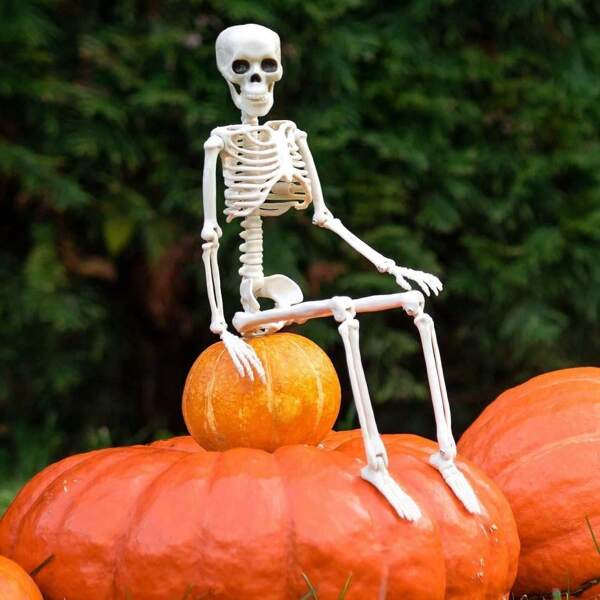 1pc/3pcs Movable Joints Plastic Skeleton Ornament For Halloween Decoration, 40cm Realistic Full Body Skeleton, Suitable For Graveyard, Haunted House, Indoor/Outdoor Decoration Home Decor Fall Decor Room Decor