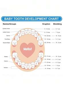 2 piezas/1 pieza- Caja para guardar dientes de bebé, caja de almacenamiento de dientes de madera para niños que han perdido dientes, recuerdo para niños - almacena 20 dientes de leche perdidos, cabello fetal y registra información del bebé, regalo para recién nacidos, cumpleaños y baby shower - Caqui - Ver 2