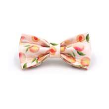 Customizable Polyester Pet Cat Bell Collar, With Customizable Names And Phone Numbers, As Well As Optional Bows And Leashes, Suitable For Party Occasions And Festivals,Cat Gift - Multicolor - View 17