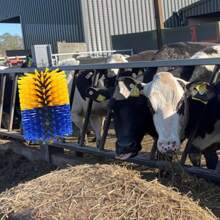 Horse Stable Supplies - Cylindrical-blue&yellow - 查看 3