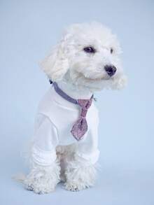 PINCOOL 可调节小型犬项圈，带领结、铃铛和牵引环，可爱的宠物散步配件 - 查看 2