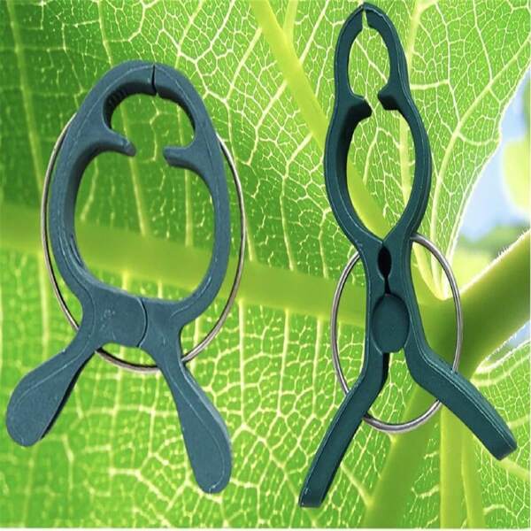 10 pièces Pince de fixation pour orchidées, accessoires de jardinage