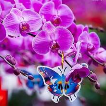 200pcs Orchid Seeds Butterfly Orchid Seeds Suitable For Home Garden Decoration Plants