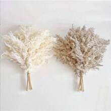 20/30 piezas Ramo de Hierba de las Pampas Seca, Flores Blancas, Ramo de Estilo Bohemio para Decoración del Hogar, Flores Secas de Junco, Decoración de Habitación, Decoración del Hogar, Decoración de Dormitorio, Decoración de Boda, Suministros de Boda, Decoración de Oficina, Decoración de Cafetería, Regalo del Día de San Valentín | Halloween, Navidad, Decoraciones Navideñas, Decoración de Habitación, Decoración de Dormitorio, Regalo