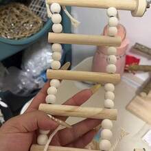 1 件/2 件木珠栖木梯秋千玩具，鹦鹉攀爬架配件，适用于鸟笼，适合所有季节