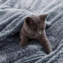 Exclusivo Mezcla Plush Fuzzy Fleece Throw Blanket Extra Large, Super Soft, Fluffy And Warm Blankets For Couch, Bed, All Season Use (50x70 Inches, Pink) - Azul marino mixto - Ver 5