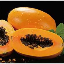 Papaya Samen Essen: Anleitung Für Gesunde Verwendung
