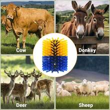 Horse Stable Supplies - Cylindrical-blue&yellow - 查看 4