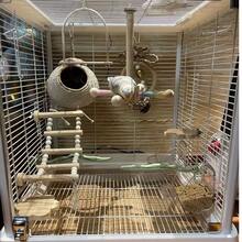 1 件/2 件木珠栖木梯秋千玩具，鹦鹉攀爬架配件，适用于鸟笼，适合所有季节