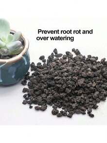 黑色火山岩土壤添加剂，适用于仙人掌和多肉植物，不含染料或化学物质，100%纯火山岩表层覆盖物，红色火山岩装饰石