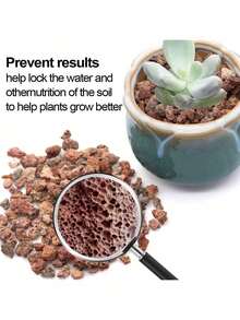 黑色火山岩土壤添加剂，适用于仙人掌和多肉植物，不含染料或化学物质，100%纯火山岩表层覆盖物，红色火山岩装饰石