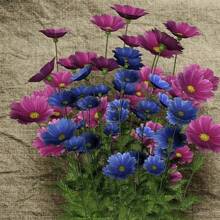 221 pièces Mélange de graines de fleurs sauvages tout-en-un, variété abondante de vivaces pour des fleurs de jardin vibrantes, plantes sur, graines de légumes, plantes hosta, graines de fleurs de jardin, plantes pour l'extérieur, graines de fleurs à semer, jardin, toutes les plantes pour l'extérieur, répulsif à moustiques, plantes de jardin pour l'extérieur, graines de fleurs vivaces à planter, graines de plantes