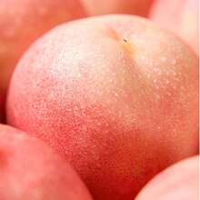 5 Seeds - Personally Cultivated Sweet Non-GMO Peach Seeds, Let The Family Eat Peacefully 619, Fruitful Seed Variety, High Germination Rate