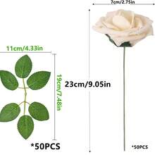 10/30/50/100 bông hồng giả bằng xốp màu ngà có cuống, thích hợp để tự làm bó hoa cưới, trang trí bàn tiệc cô dâu, trang trí bàn tiệc, ngày Valentine và ngày của Mẹ (không bao gồm hộp giấy) - Rượu sâm banh - Xem 12