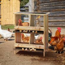 Gallinero de dos pisos de madera maciza – 4 nidos con perchas y suelo aislante – ponedero para gallinas – Nido de madera resistente a la intemperie – 70*38*92 cm – color natural