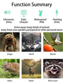 Senzori de mișcare pentru exterior echipați cu repelente cu ultrasunete pentru animale, repelente solare pentru pisici, repelente pentru șoareci, pisici, câini, sconcși, iepuri, ratoni, repelente pentru căprioare și repelente pentru sconcși de curte. Sunt ieftini, rafinați și ușor de instalat.