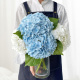 White/Blue