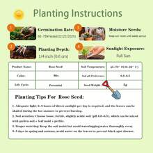 Sow Right Seeds 100 Pieces Seed Mix Rose Seeds For Outdoor Gardening - Ornamental Garden Decor Attracts Pollinators Plants Live  Vegetable Seeds Hosta Plants Gardening Flower Plants For Outdoor Seedlings For Planting Perennial Flower Seeds Plant Seeds