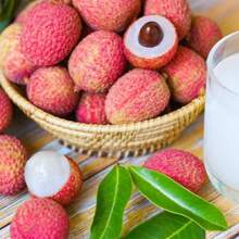 Lychee Fruit Seeds - 20Pcs - Home Gardening Planting - 20Pcs - View 3