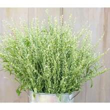 244 Pieces Wholesale 200 Perennial Seeds