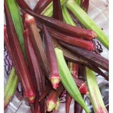 20 Pieces Of Okra Seeds Clemson Spineless Okra Super Healthy Vegetable Seeds - Green - View 3
