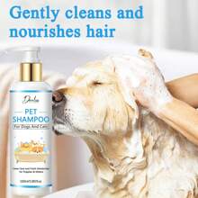 2 pièces Shampooing pour chien à l'avoine (convient aux chats et aux chiens), soulage les démangeaisons et hydrate la peau et les poils secs
