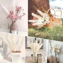 60 Pcs White Pampas Grass ,17 Inch/45 Cm Dried Pampas Grass Branches Decor For Wedding Home Kitchen Garden Party Photographing Flower Arrangement Vase Decor - Nhiều màu - Xem 6