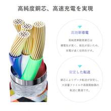 充電ケーブル スマホショルダーケーブル Type-C to Type-C ケーブル 長さ1.2m 多端子対応Phon16/15対応 Type-C to Phon PD対応 27W 60W 多機能 携帯ストラップ 2in1 外出ケーブル 選べる2タイプ 落下防止 OL通学・通勤アイテム【PL保険加入済み製品・安心】 - 色 - チェックする 4